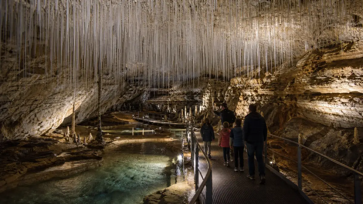 Visiteurs sur la passerelle des grottes de Choranche sous des milliers de fistuleuses
