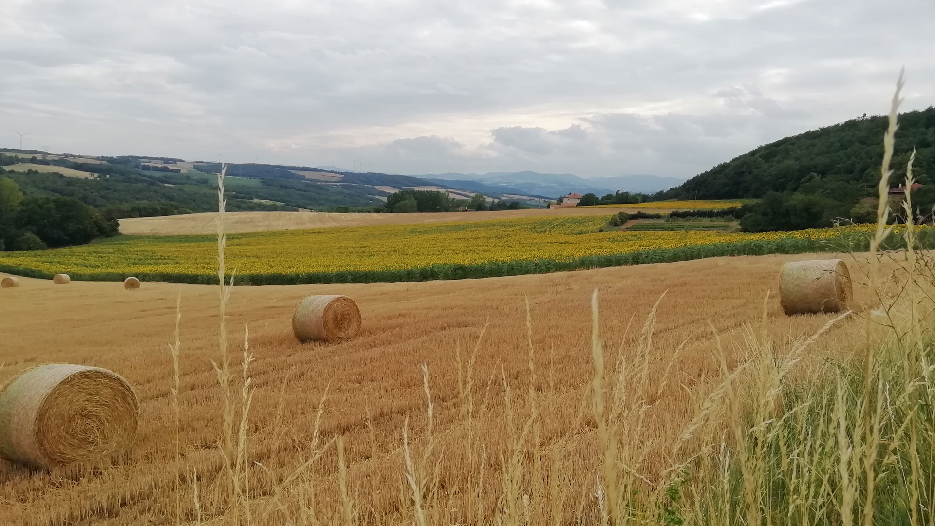 Camping La Chataigneraie Drome