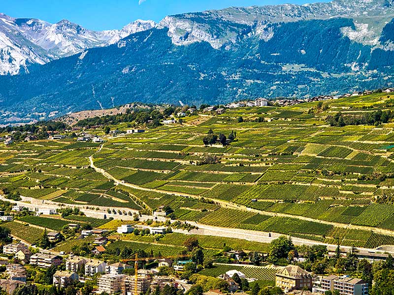 vue panoramique vallee du rhone