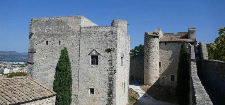 Les châteaux de la Drôme : Un voyage à travers le temps