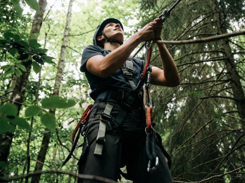 faire faire de l'Accrobranche à Drôme