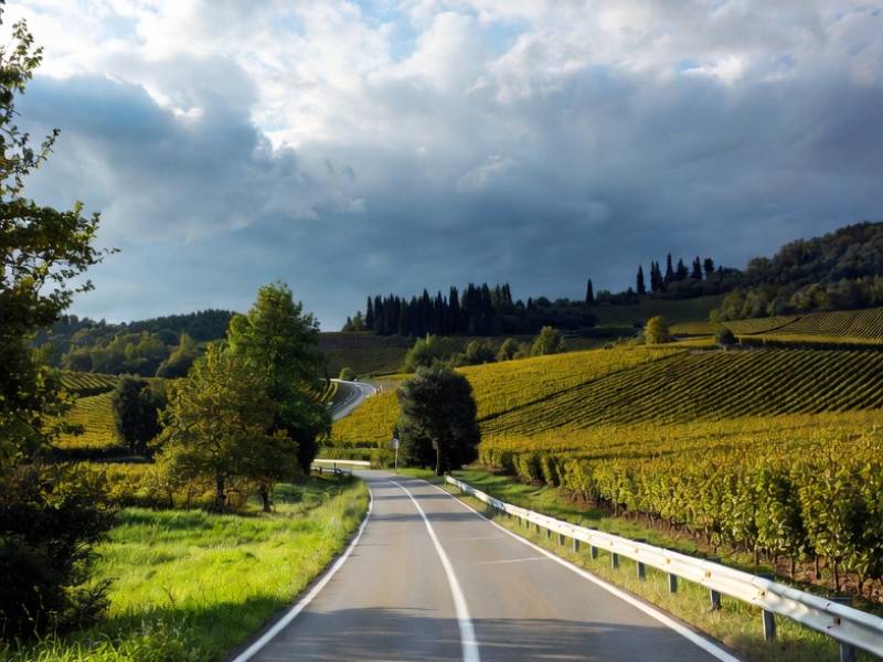 Viarhôna Drôme (6)